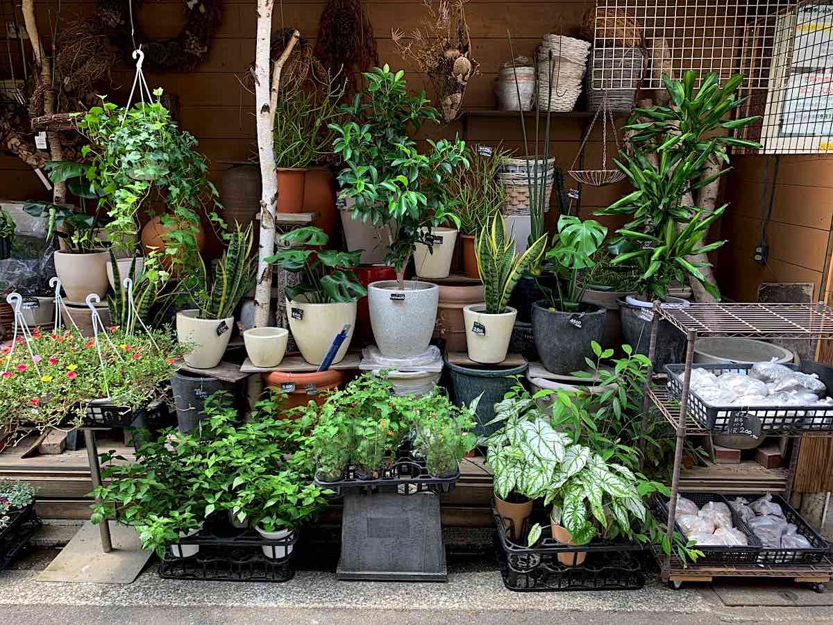 ココライド 吉祥寺中道通りの近くにある花屋 吉祥寺 Kichijoji Go