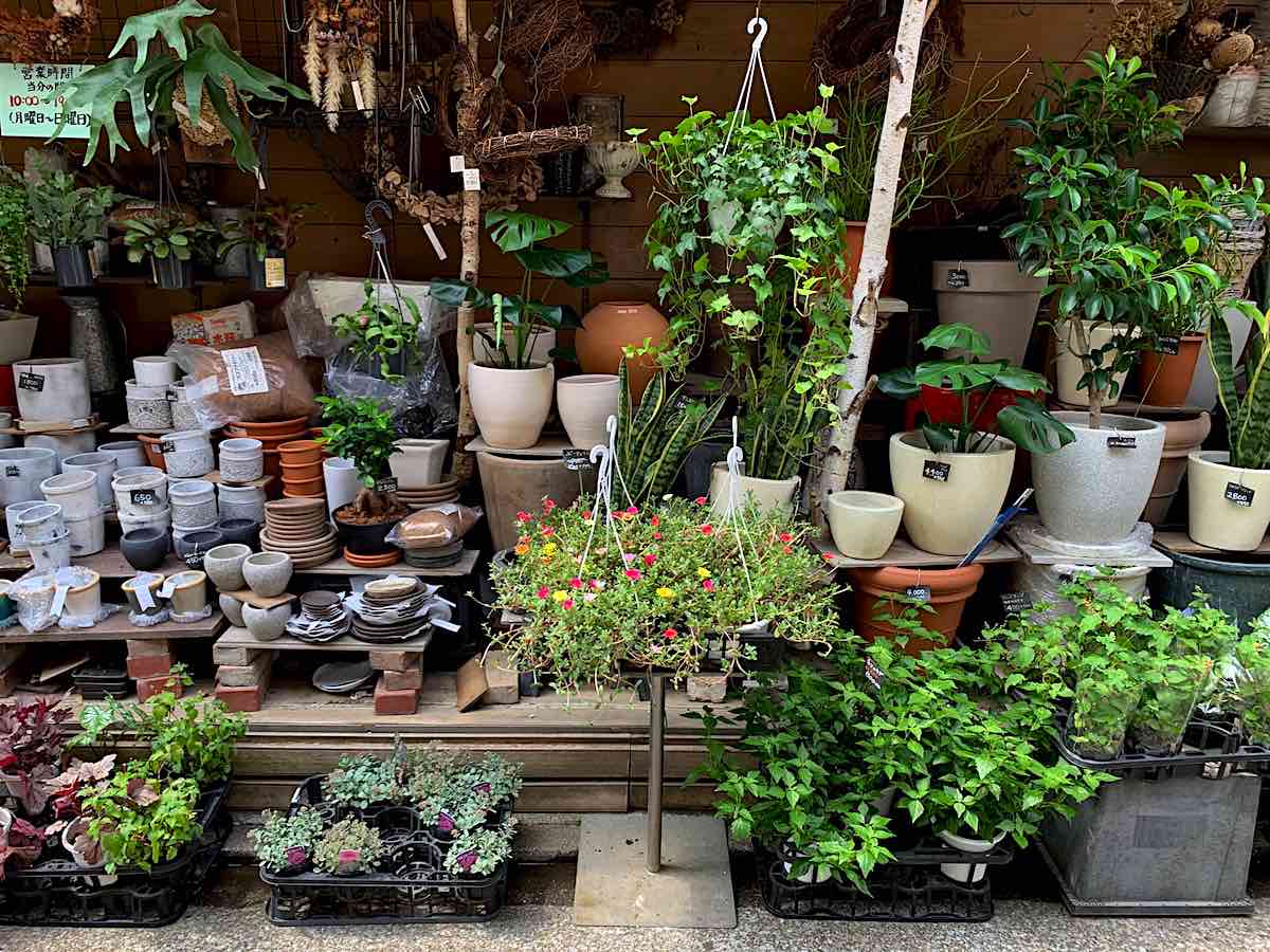 ココライド 吉祥寺中道通りの近くにある花屋 吉祥寺 Kichijoji Go