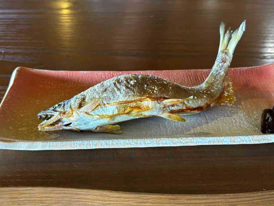 子持ちの鮎の塩焼き