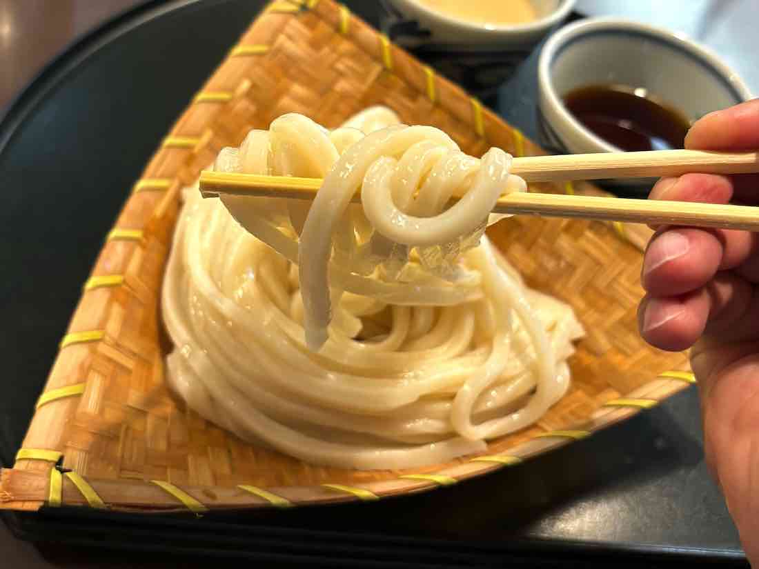 もりうどん2色つゆ（胡麻・醤油）