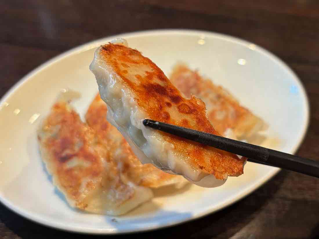 自家製焼き餃子